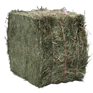Foin de Crau – 1 Tonne (1 000 kg)