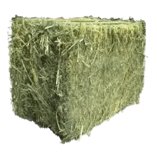 Foin de luzerne – Tonne (1 000 kg)
