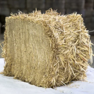 Paille de Blé – 1 Tonne 1 000 kg